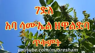 ገድለ አባ ሳሙኤል ዘዋልድባ ጥቅምት - Gedile Aba Samuel Zewaldib Tikimt