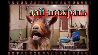 коза ачивалэска! чат рулетка