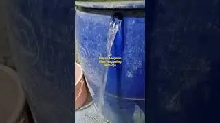 Air