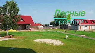 Страусиная ферма в с.Чикча Тюменской области, 2020 год