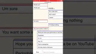 Catching an Omegle pedophile