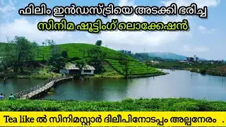 ഫിലിം സ്റ്റാറുകളെ കാണണോ.? ഇവിടേക്ക് വിട്ടോളൂ / Tea like /  Vagamon - വാഗമണ്‍ - Travel Guide / Idukki