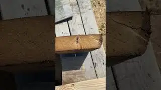 Мастерская в деревне 😎