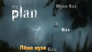 Я муха ( The plan)