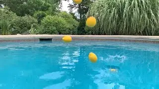 Lemon Drop @splashpool