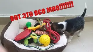 Товары с Китая для Барни