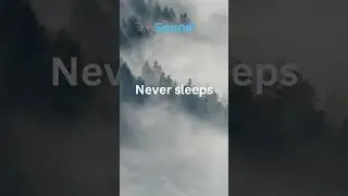 #7 Hearing never Sleeps