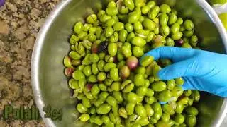 كبس الزيتون الاخضر سهل وسريع ومضمون 💯