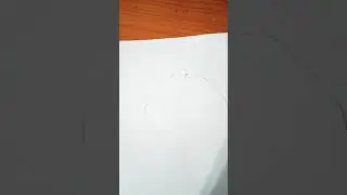 Как нарисовать собаку йоркширский терьер.