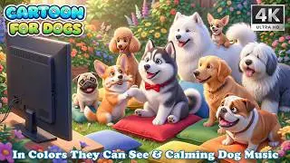 🔴 Cartoon for Dogs to Watch 🐶 Entertainment Videos & Relaxing Music to Keep Dog Calm When Home Alone