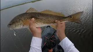 (S3 Ep8) The BIGGEST School of Reds I've Ever Seen, Christmas Bay TX