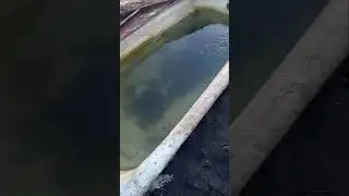 Правильное хранение живца ч. 2