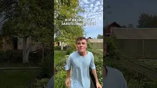КОГДА НА ДАЧЕ ЗАХОТЕЛИ ШАШЛЫК