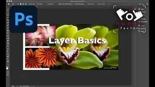 Get to know the Layer Basics of Photoshop