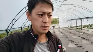 Приступаем к ПОСАДКЕ КЛУБНИКИ. АГРОДОМ. Заехали в МАГАЗИН.