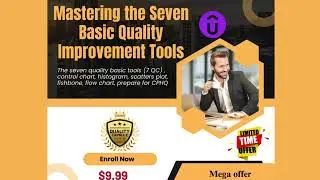 Master the 7 Essential Quality Improvement Tools.