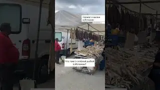 Что там с солёной рыбой в Испании?