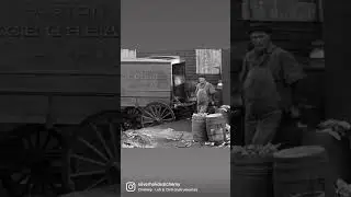 1890s Glass Negatives found in an old basement.