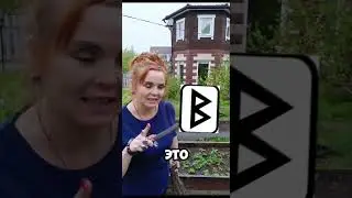 Руны помогают везде и во всем! 