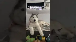 Does she hate him?! 