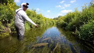 I Can’t Believe There Was THIS MANY Fish Here!