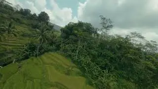Belusukan jarambah keliling pesawahan di desa gardu jaya panawangan kabupaten Ciamis