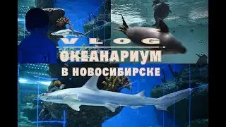 vlog : ОКЕАНАРИУМ в Новосибирске_ненастная погода