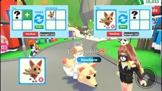 😘😁🤩 HOW to GET KITSUNE in Adopt Me Roblox and what people trade for it + tried to cheat 😘😁🤩