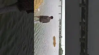 it's a different type of pain🥺.#trending #youtubeshorts #status #youtube #nature #like #viral #song