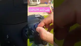 Canon 90D Auto Mode 