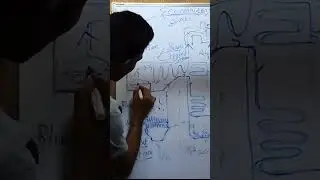 working of economiser in boilers #mechanical #yotubeshorts #shortsvideo #trending #viralvideo