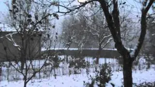 Kuu film