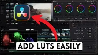 How to Add LUTs in DaVinci Resolve 2025?