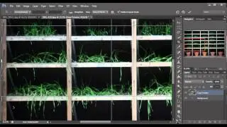 Как выровнять вертикали на снимке в PhotoShop