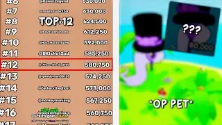 I REACHED TOP 12 ON THE LEADERBOARD WITH THIS OP PET!!