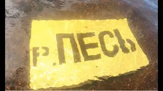 Песь 2023