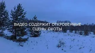 ШОК!!! Загонная охота  720p/SHOCK!!! Paddock hunting