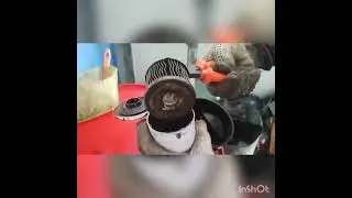 Como são os filtros de óleo por dentro???🤔🤔