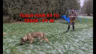 How to train your K9 to track - part 4b