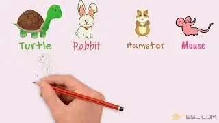 Kids Vocabulary   Learn Pet Names   Pets Vocabulary in English