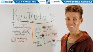 How does Keytruda Cancer Treatment Work?