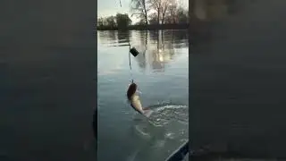 рыбалка на кубани