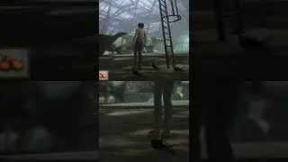Сибирь / Syberia 
