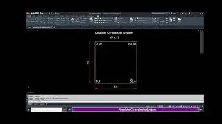 absolute coordinate system