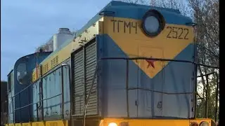 Тгм4 2522 с хопперами на переезде