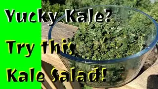 Yucky Kale? Try this Kale Salad!