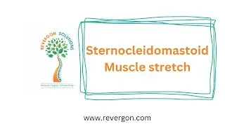 Sternocleidomastoid Muscle Stretch | Improve neck Movement