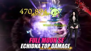 1620 Full Moon SOUL EATER Echidna Gate 1-2 Top Damage | Lost Ark: PvE 로스트아크