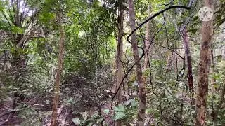 lower peirce reservoir vlog but I still don’t know how to edit like Cole Bennett
