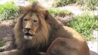 Tautphaus Park Zoo - Idaho Falls, ID